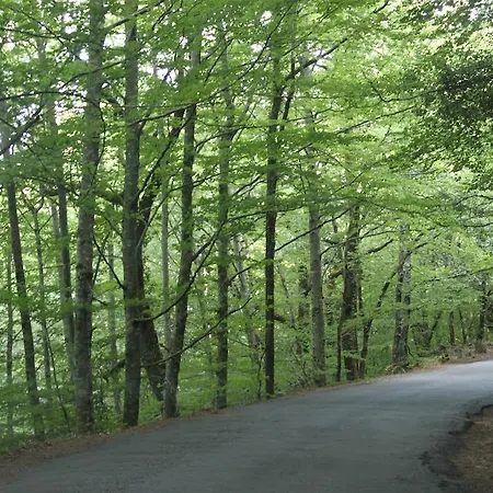 Lantgård Casa Das Leiras