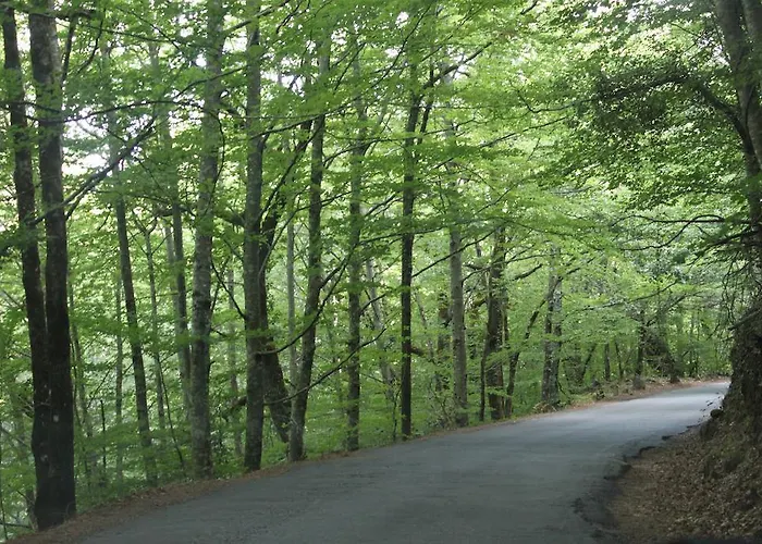 Alloggio per agriturismo Casa Leiras